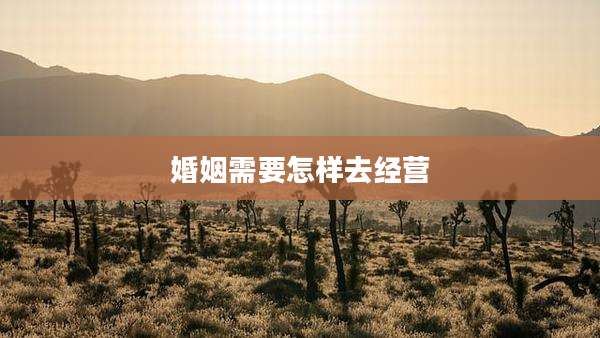婚姻需要怎样去经营