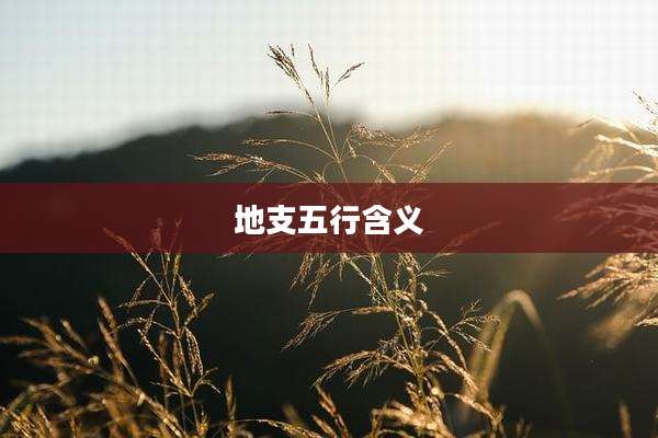 地支五行含义