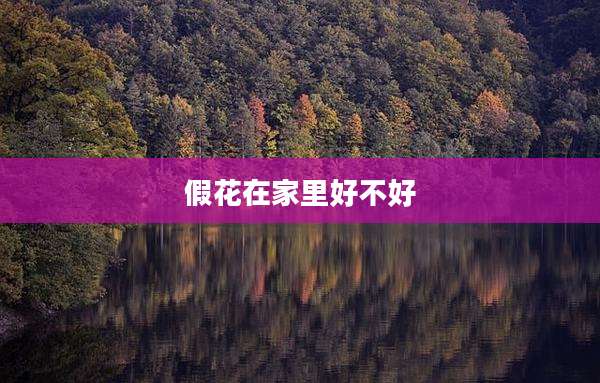 假花在家里好不好