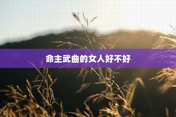 命主武曲的女人好不好