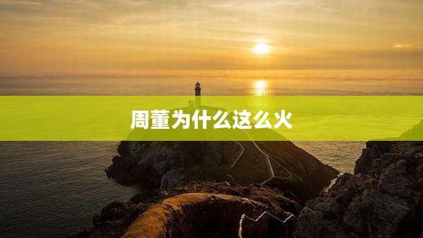 周董为什么这么火