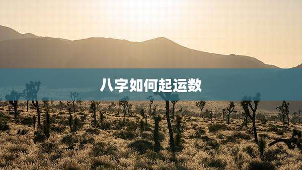 八字如何起运数