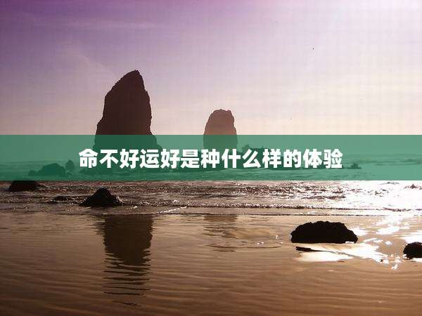 命不好运好是种什么样的体验