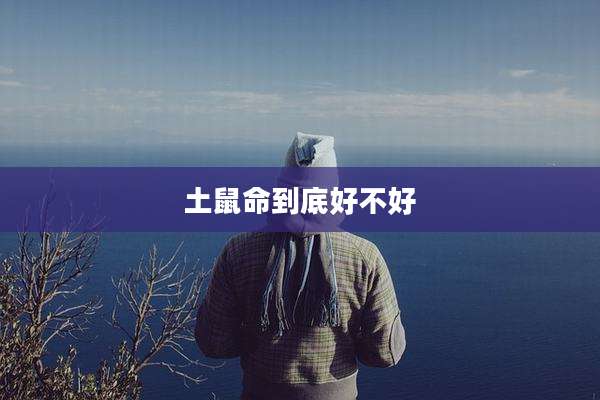 土鼠命到底好不好