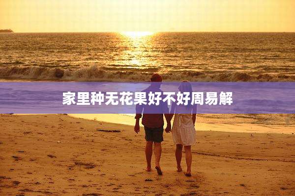 家里种无花果好不好周易解