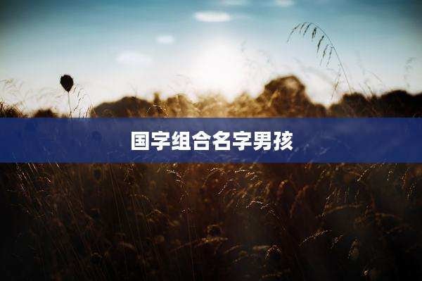 国字组合名字男孩