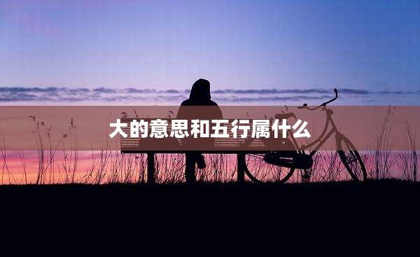 大的意思和五行属什么