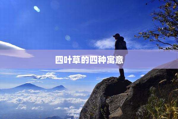 四叶草的四种寓意