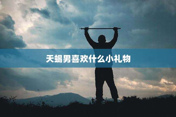 天蝎男喜欢什么小礼物