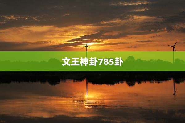 文王神卦785卦