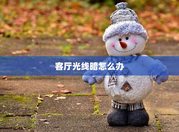 客厅光线暗怎么办