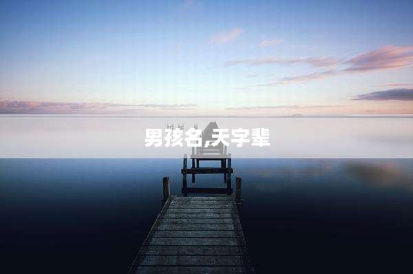 男孩名,天字辈
