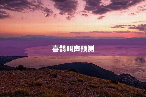 喜鹊叫声预测