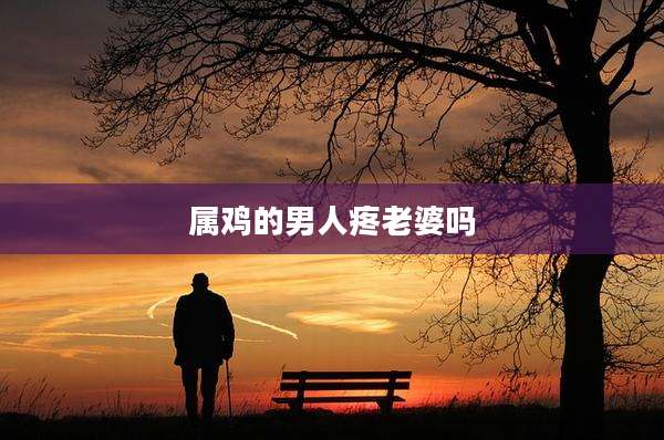 属鸡的男人疼老婆吗