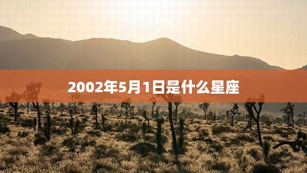 2002年5月1日是什么星座