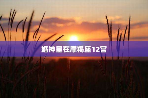 婚神星在摩羯座12宫