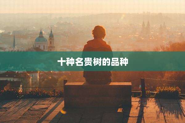 十种名贵树的品种