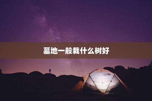 墓地一般栽什么树好
