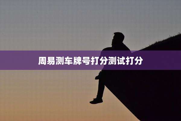 周易测车牌号打分测试打分