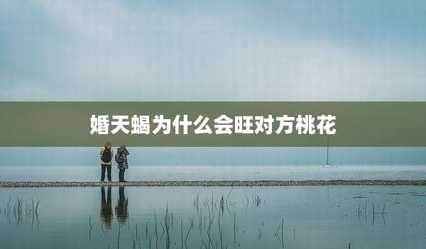 婚天蝎为什么会旺对方桃花