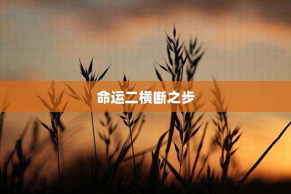 命运二横断之步