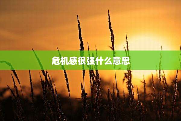 危机感很强什么意思