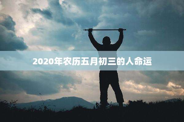2020年农历五月初三的人命运