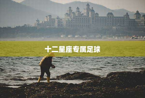 十二星座专属足球