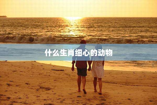 什么生肖细心的动物