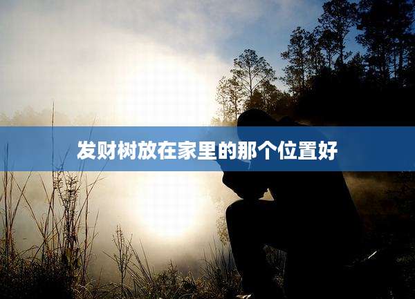 发财树放在家里的那个位置好