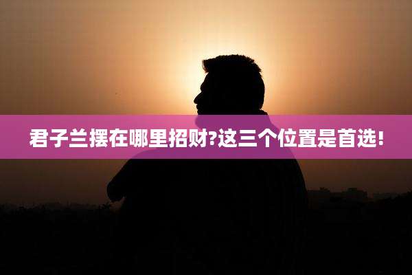 君子兰摆在哪里招财?这三个位置是首选!