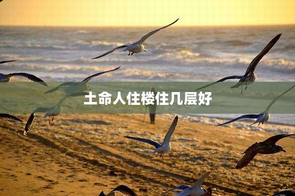 土命人住楼住几层好