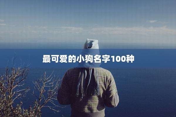 最可爱的小狗名字100种