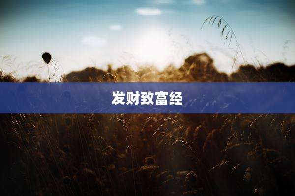 发财致富经