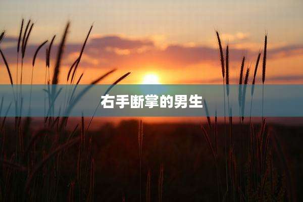 右手断掌的男生