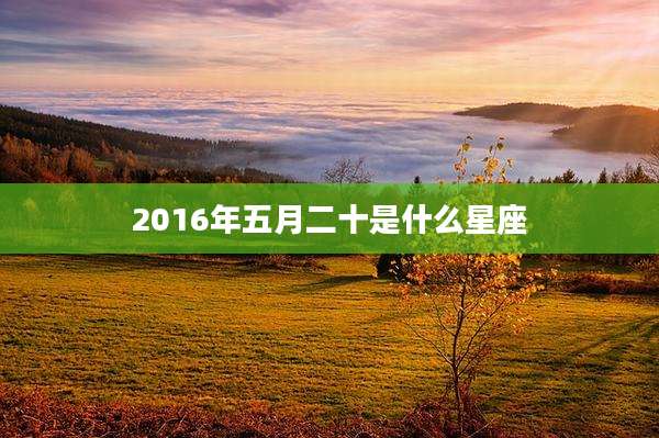 2016年五月二十是什么星座