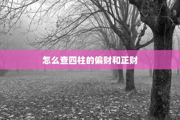 怎么查四柱的偏财和正财