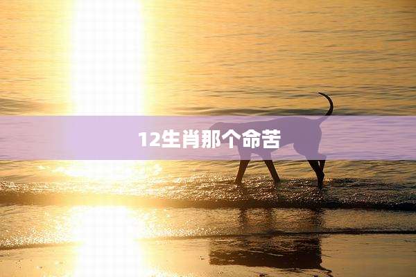12生肖那个命苦
