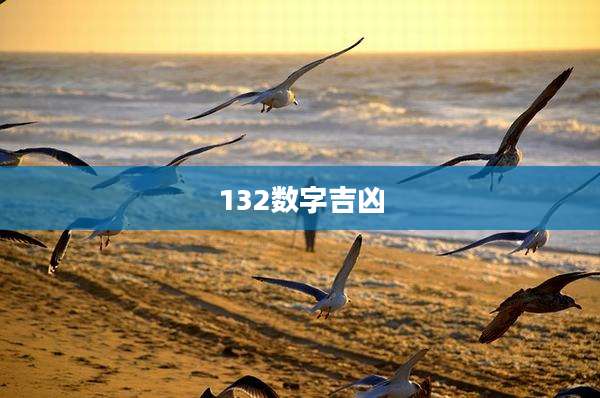 132数字吉凶