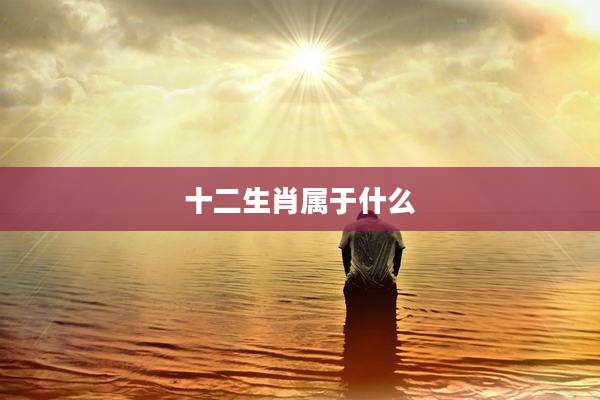 十二生肖属于什么