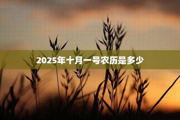 2025年十月一号农历是多少