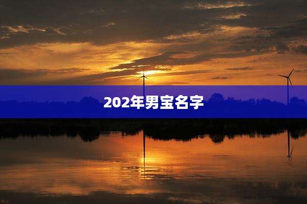 202年男宝名字
