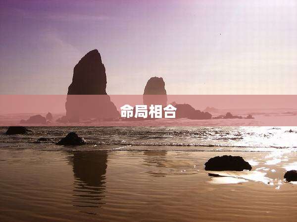 命局相合
