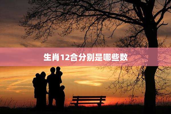 生肖12合分别是哪些数