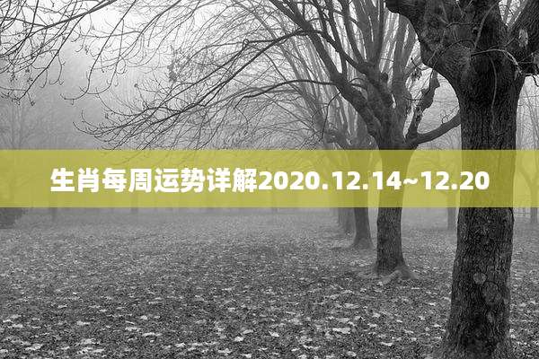 生肖每周运势详解2020.12.14~12.20