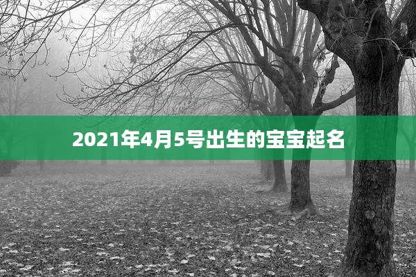 2021年4月5号出生的宝宝起名
