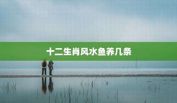 十二生肖风水鱼养几条