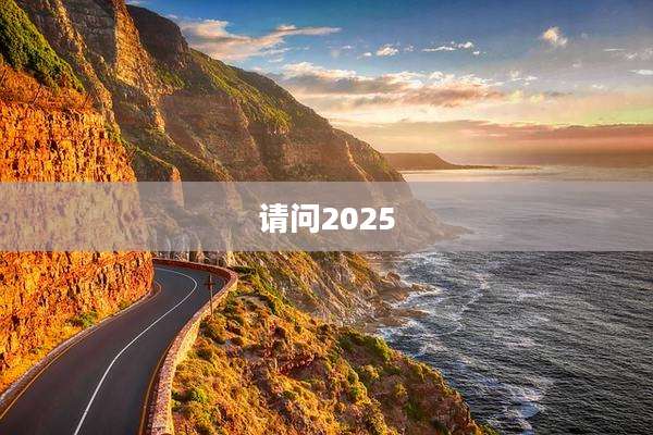 请问2025