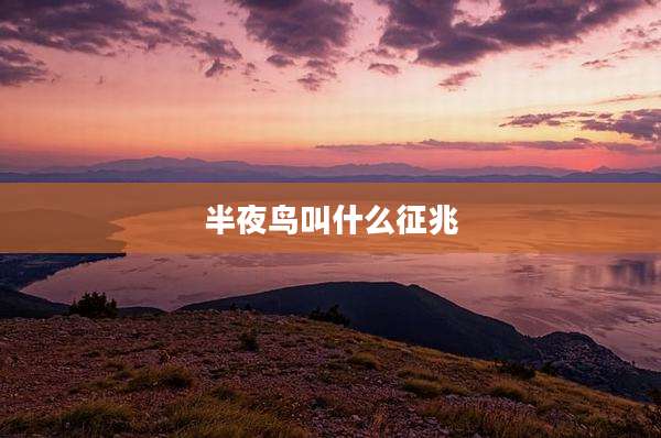 半夜鸟叫什么征兆