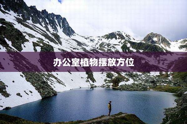 办公室植物摆放方位